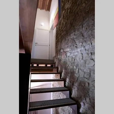 Casa Nel Bosco D'Arte Corti