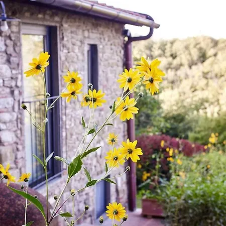 Casa Nel Bosco D'Arte Corti