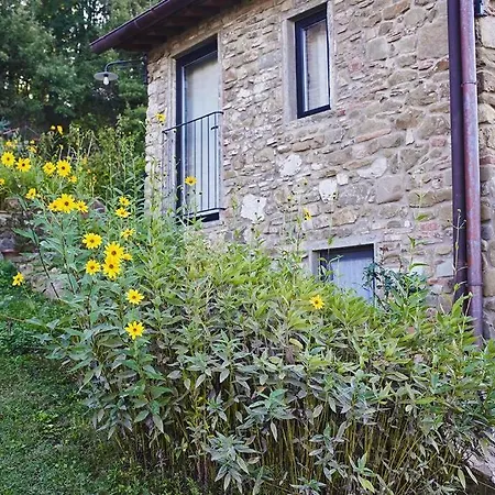 Casa Nel Bosco D'Arte